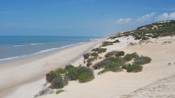 Самый длинный пляж в Испании playa-de-donana